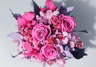 joyflower是哪國品牌？joyflower怎么樣？