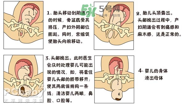 生孩子的過程是怎樣的？生孩子的真實(shí)過程