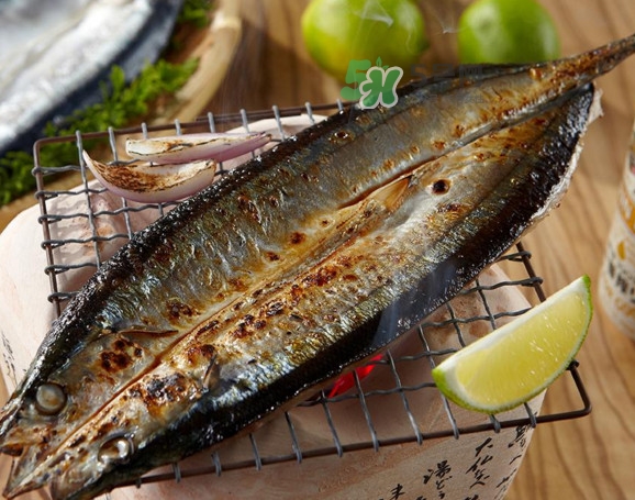 秋刀魚有刺嗎？秋刀魚刺多嗎？