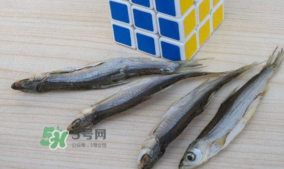 刁子魚是發(fā)物嗎？刁子魚是不是發(fā)物