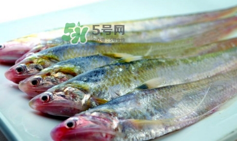 刁子魚是秋刀魚嗎？刁子魚是海魚嗎？