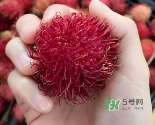吃紅毛丹對身體有什么好處？紅毛丹有什么營養(yǎng)價值