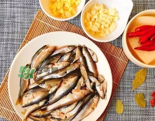 刁子魚多少錢一斤？刁子魚價(jià)格表