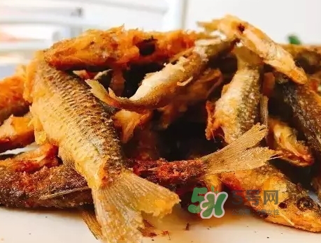 刁子魚多少錢一斤？刁子魚價(jià)格表