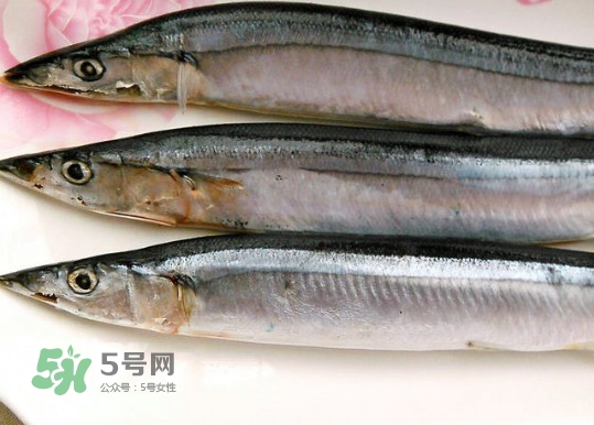 秋刀魚(yú)是不是鲅魚(yú)？秋刀魚(yú)和鲅魚(yú)的區(qū)別