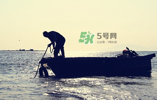 剝皮魚(yú)孕婦可以吃嗎？懷孕可以吃剝皮魚(yú)嗎？