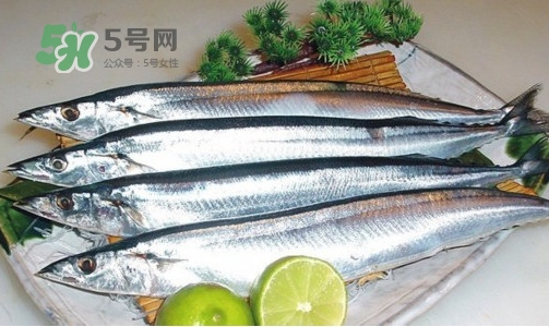 沙丁魚和秋刀魚有什么不一樣？秋刀魚和沙丁魚的區(qū)別