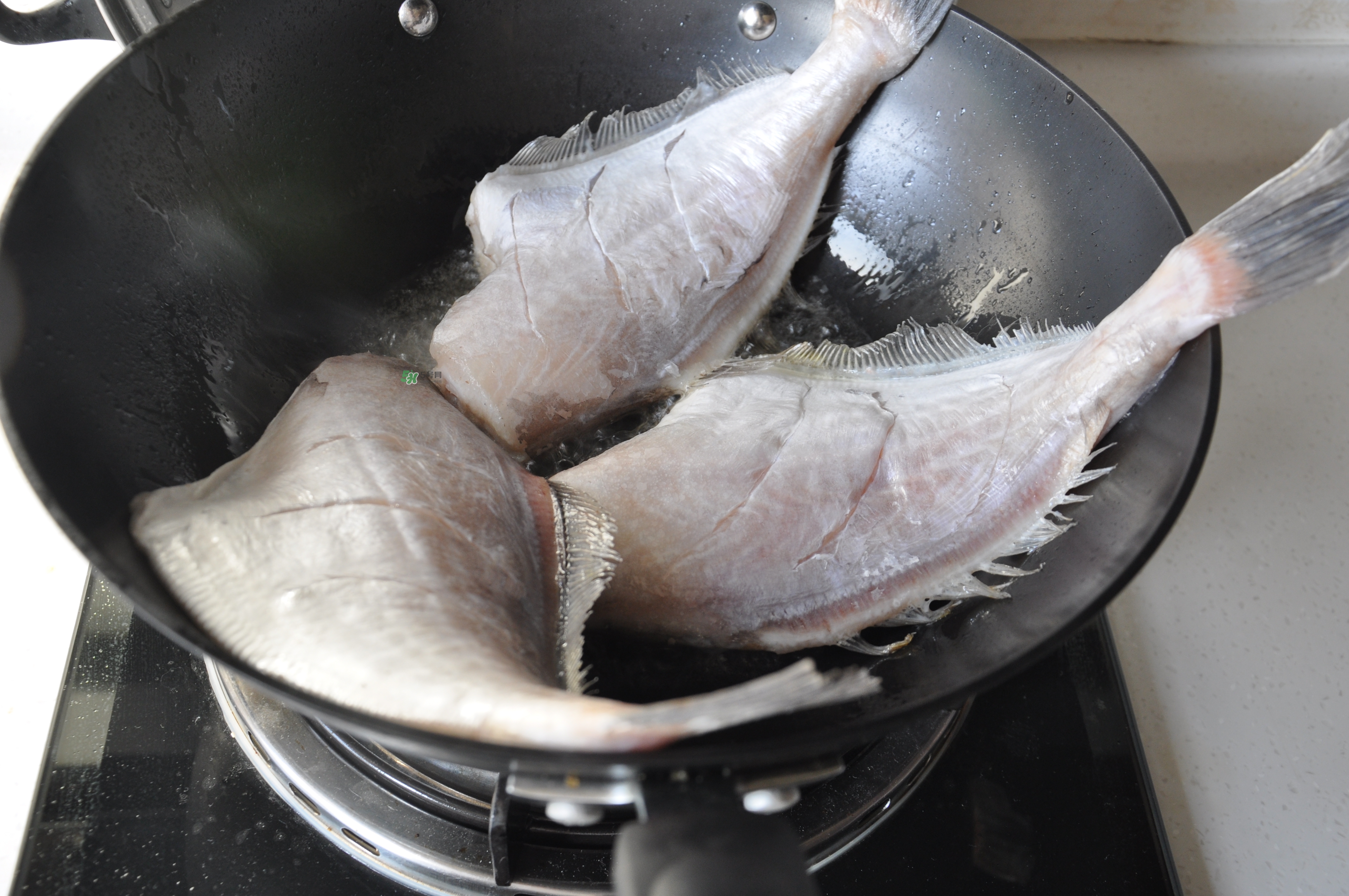 剝皮魚(yú)孕婦可以吃嗎？懷孕可以吃剝皮魚(yú)嗎？