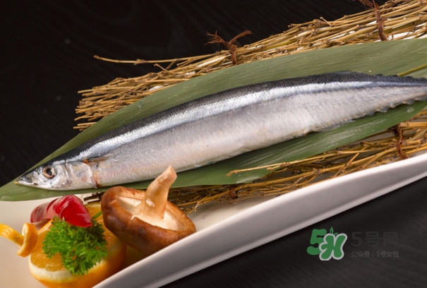 秋刀魚(yú)是不是鲅魚(yú)？秋刀魚(yú)和鲅魚(yú)的區(qū)別
