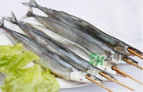 秋刀魚是海魚嗎？秋刀魚是淡水魚還是海魚