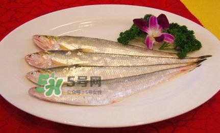 秋刀魚是刀魚嗎？秋刀魚和刀魚的區(qū)別