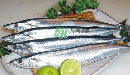 秋刀魚是刀魚嗎？秋刀魚和刀魚的區(qū)別