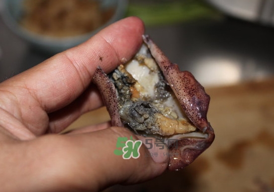 筆管魚怎么清洗？筆管魚怎么處理