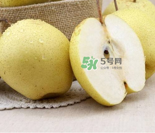 雪花梨什么時(shí)候成熟？雪花梨幾月份成熟？