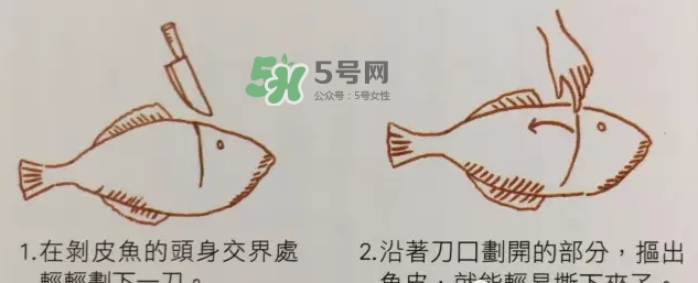剝皮魚為什么要剝皮？剝皮魚的皮有毒嗎？