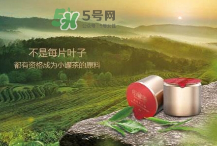 小罐茶是什么茶？小罐茶是哪八種茶？