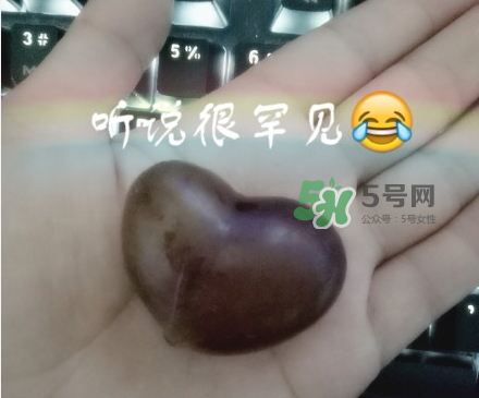 心形葡萄能吃嗎？心形葡萄和普通葡萄的區(qū)別