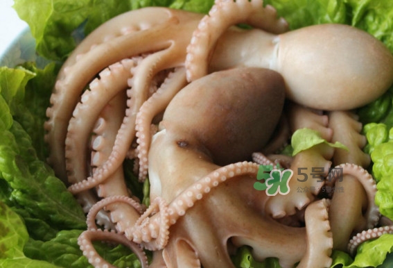 八爪魚的頭能吃嗎？八爪魚的頭里面是什么