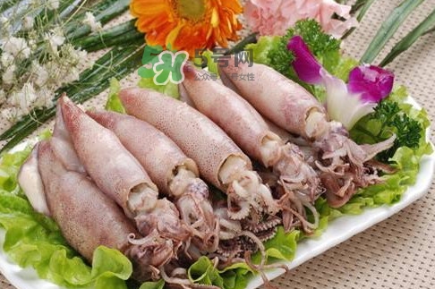 筆管魚怎么做好吃？筆管魚有什么營養(yǎng)