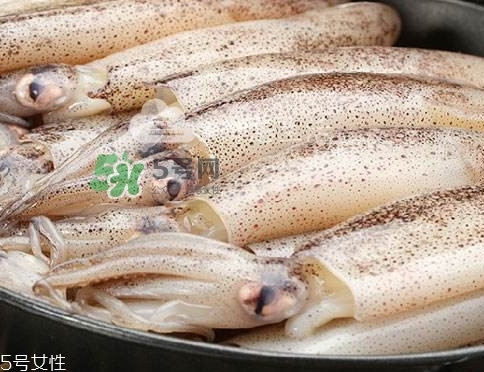 海兔子是什么？海兔子是墨魚嗎