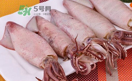 海兔子是小魷魚嗎？海兔子和魷魚的區(qū)別