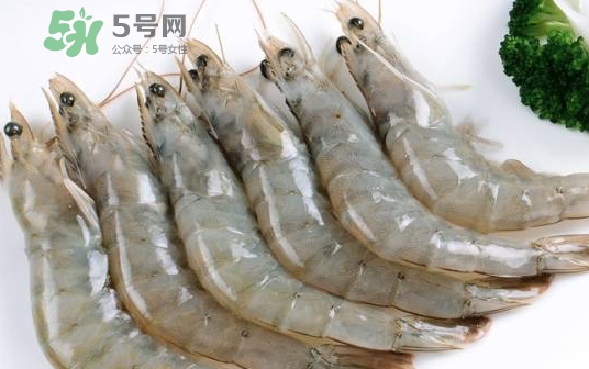 厄瓜多爾蝦是海蝦嗎？厄瓜多爾蝦好吃嗎？