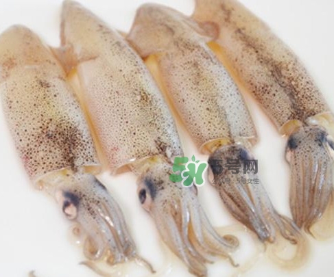 筆管魚是什么魚？筆管魚怎么吃