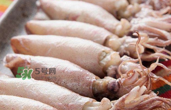 海兔子是小魷魚嗎？海兔子和魷魚的區(qū)別