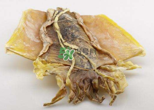魷魚干是生的還是熟的？魷魚干是海鮮嗎