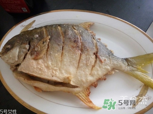 金鯧魚是海魚嗎？金鯧魚的刺多嗎？