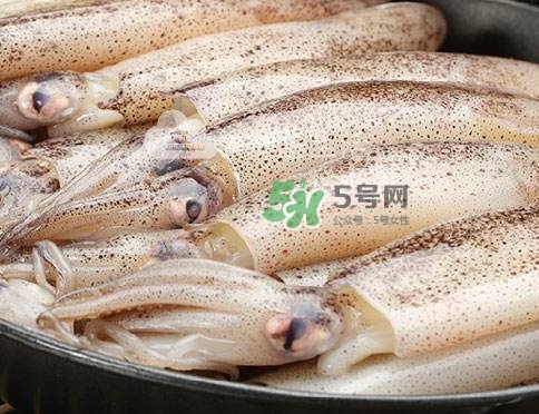 筆管魚是什么魚？筆管魚怎么吃