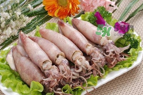 筆管魚是魷魚嗎？筆管魚和魷魚的區(qū)別