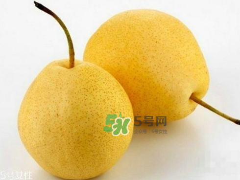 貢梨可以做冰糖雪梨嗎？貢梨可以燉川貝嗎？