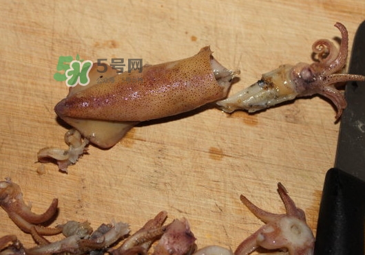 筆管魚怎么清洗？筆管魚怎么處理