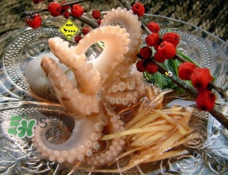 章魚有幾只腳？章魚有幾個(gè)爪子