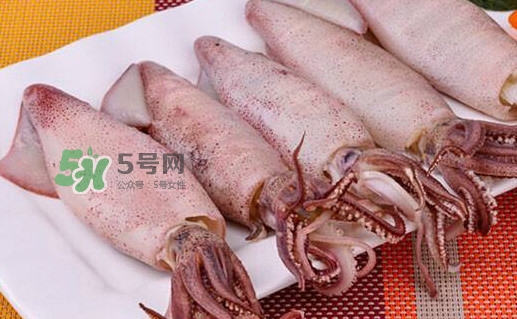 筆管魚怎么做好吃？筆管魚有什么營養(yǎng)