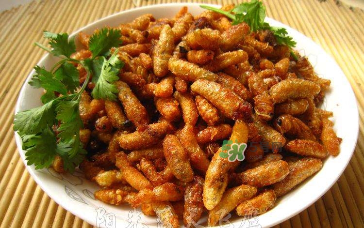 蜂蛹可以生吃嗎？蜂蛹的營(yíng)養(yǎng)價(jià)值