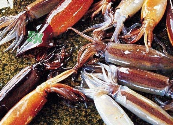 魷魚(yú)是堿性食物嗎？魷魚(yú)是酸性還是堿性？
