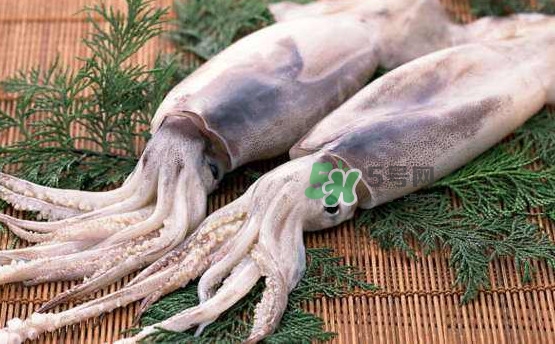 魷魚(yú)頭怎么切？魷魚(yú)怎么切花刀
