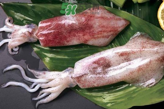 新鮮魷魚(yú)怎么處理？魷魚(yú)怎么清洗？