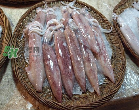 新鮮魷魚怎么保存？魷魚可以冷凍嗎