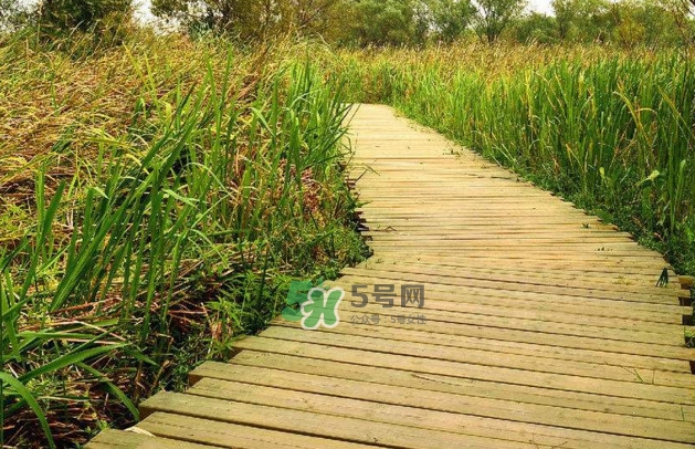 心碎綜合癥是抑郁癥嗎？心碎綜合癥怎么治療