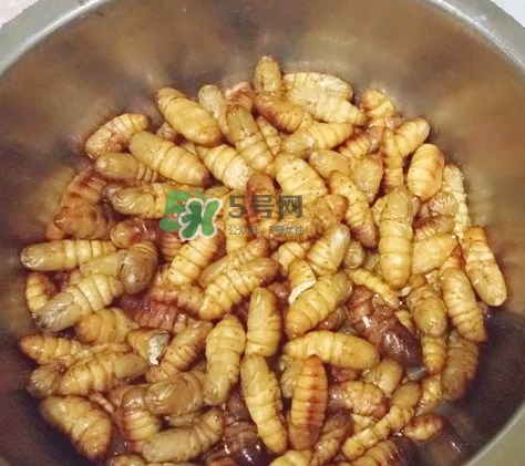 蜂蛹怎么保存？蜂蛹怎么做好吃？