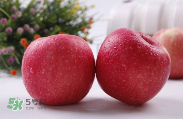 蘋(píng)果是什么季節(jié)的水果？蘋(píng)果什么時(shí)候吃最好