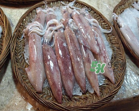 新鮮魷魚(yú)怎么處理？魷魚(yú)怎么清洗？