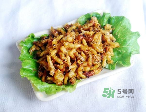 蜂蛹怎么保存？蜂蛹怎么做好吃？