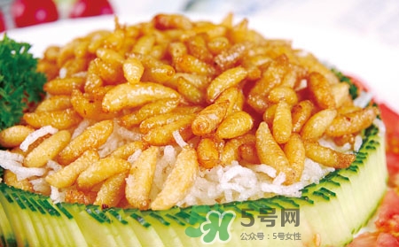 吃蜂蛹過(guò)敏了怎么辦？蜂蛹過(guò)敏的癥狀