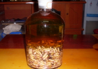 蜂蛹和枸杞能一起泡酒嗎？蜂蛹和枸杞泡酒的功效
