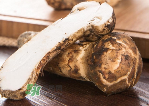 新鮮松茸怎么挑選？干松茸如何挑選