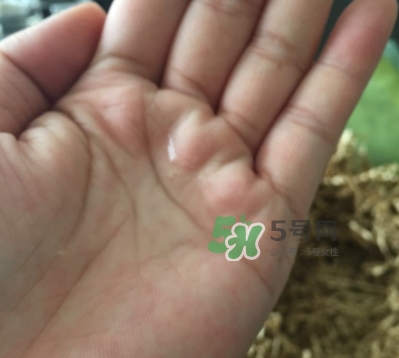 菌菇水是哪個(gè)國(guó)家的？悅木之源菌菇水是日本的嗎